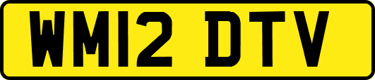 WM12DTV