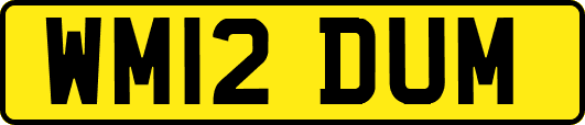 WM12DUM