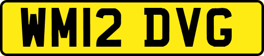 WM12DVG