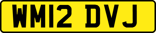 WM12DVJ