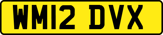 WM12DVX