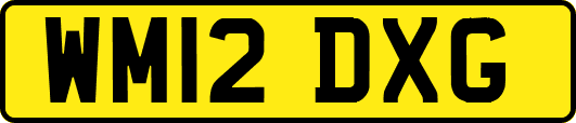 WM12DXG