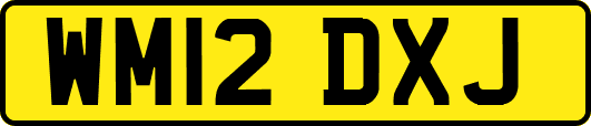 WM12DXJ