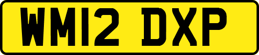 WM12DXP