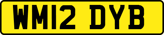 WM12DYB