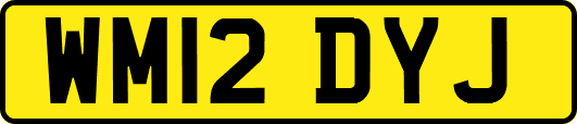 WM12DYJ