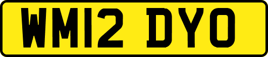 WM12DYO
