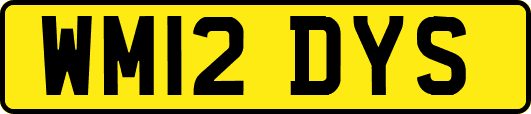 WM12DYS