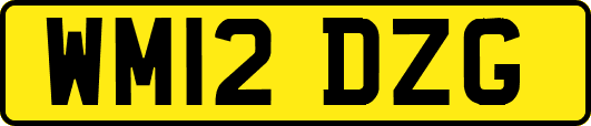 WM12DZG