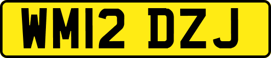 WM12DZJ