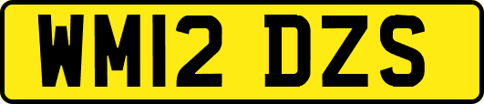 WM12DZS