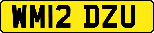 WM12DZU