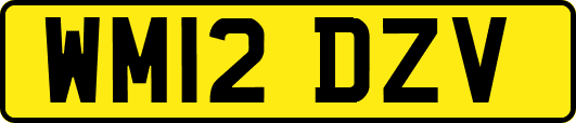 WM12DZV