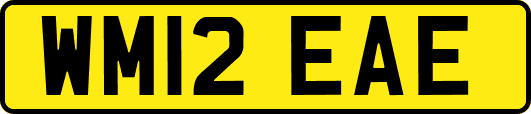 WM12EAE