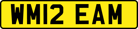 WM12EAM