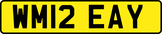 WM12EAY