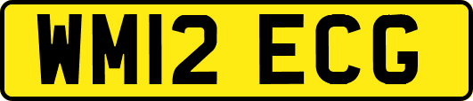 WM12ECG