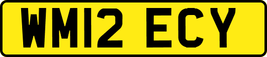 WM12ECY