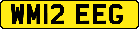 WM12EEG