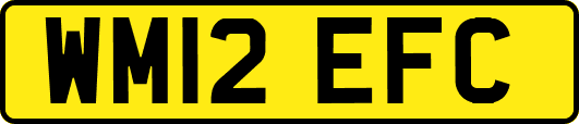 WM12EFC