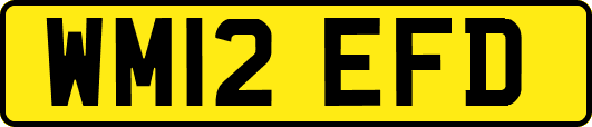 WM12EFD