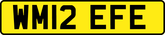 WM12EFE