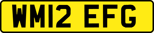 WM12EFG
