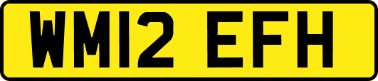 WM12EFH