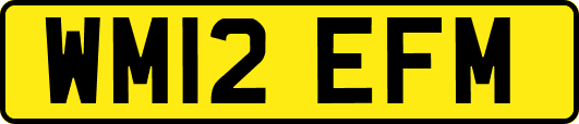 WM12EFM