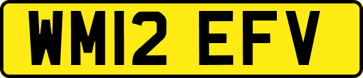 WM12EFV
