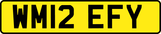 WM12EFY