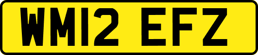 WM12EFZ