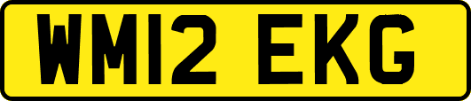 WM12EKG