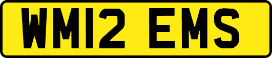 WM12EMS
