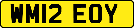 WM12EOY