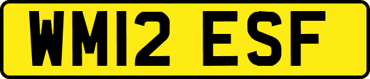 WM12ESF