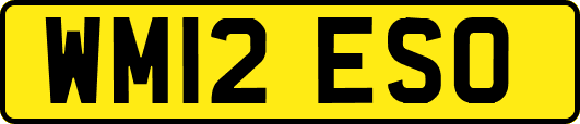 WM12ESO