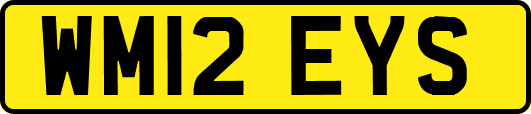 WM12EYS