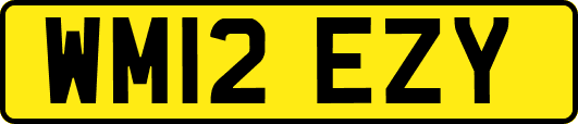 WM12EZY