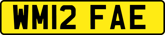 WM12FAE