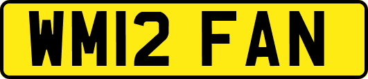 WM12FAN