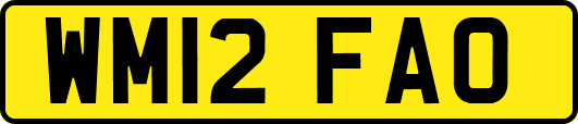 WM12FAO