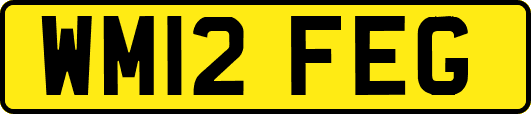 WM12FEG