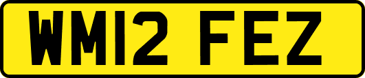 WM12FEZ