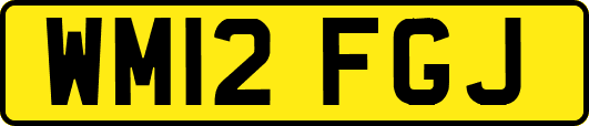 WM12FGJ