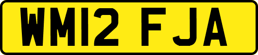 WM12FJA