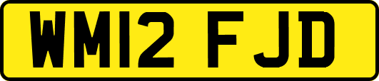 WM12FJD