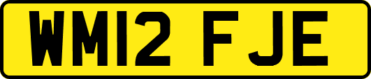 WM12FJE