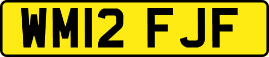 WM12FJF
