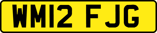 WM12FJG